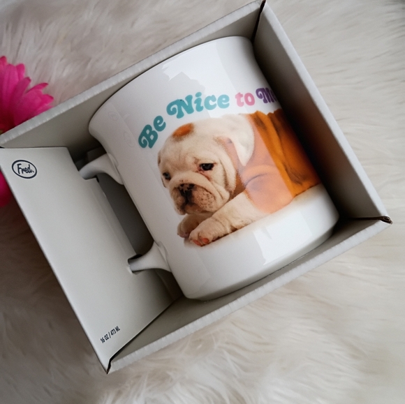 Say Anything Genuine Fred Baby English Bulldog Be Nice To Me Mug Coffee Cup - Picture 1 of 8